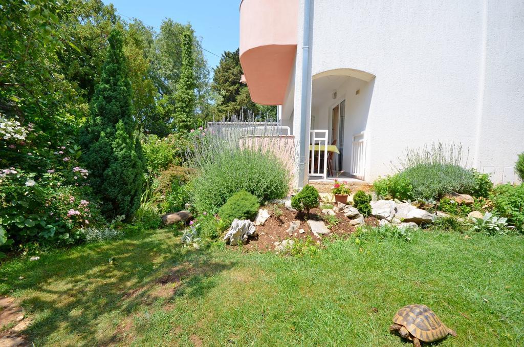 Apartments Snjezana Novi Vinodolski Dış mekan fotoğraf