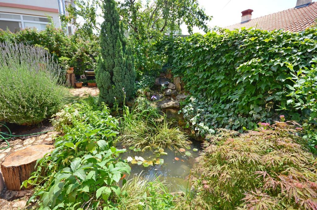 Apartments Snjezana Novi Vinodolski Dış mekan fotoğraf